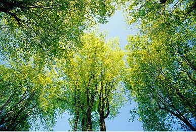 《漫威银河护卫队》更新1.04补丁  修复若干问题